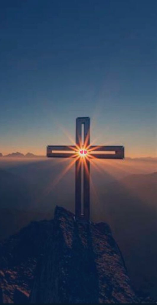 Colin Matthew Matz tweet media