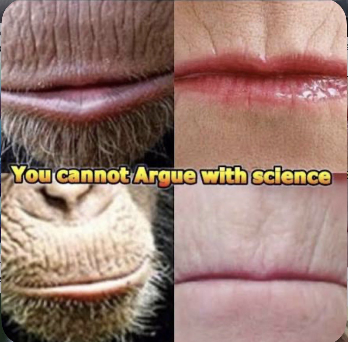 thewaythetruthandthelife tweet media