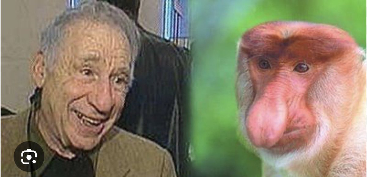 thewaythetruthandthelife tweet media