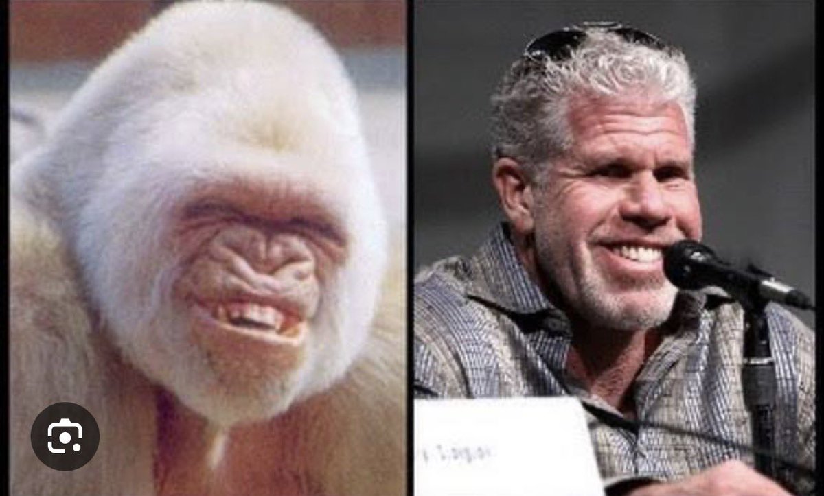 thewaythetruthandthelife tweet media