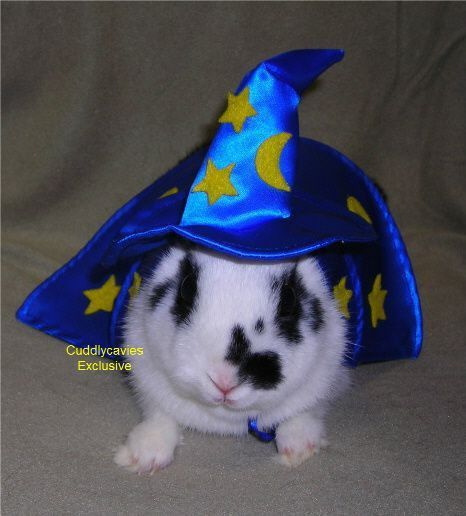 byler byler byler byler byler