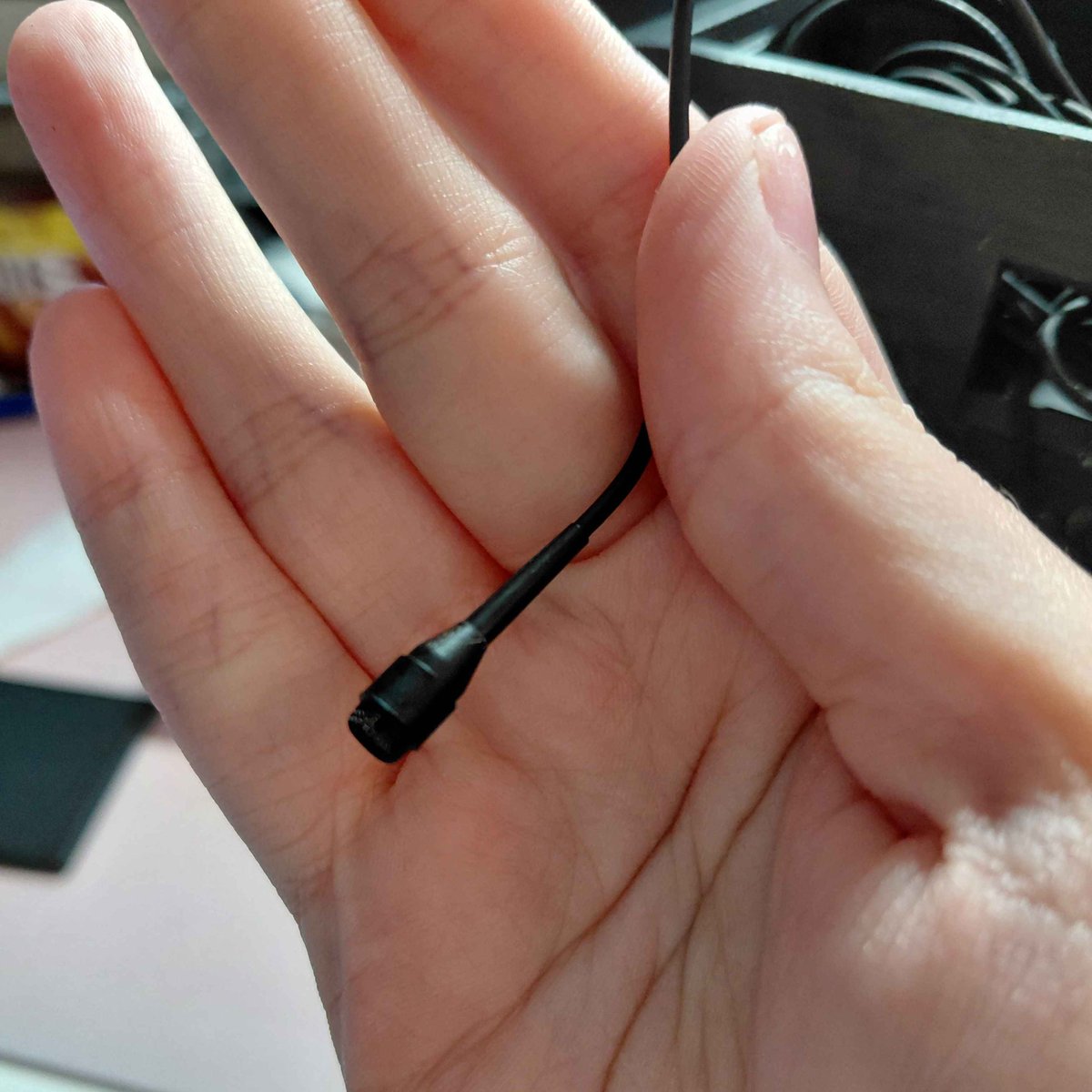 Soleil 🌟🦋 tweet media