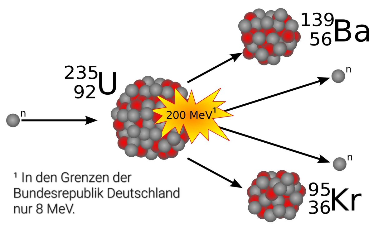 Stephan Schorn tweet media