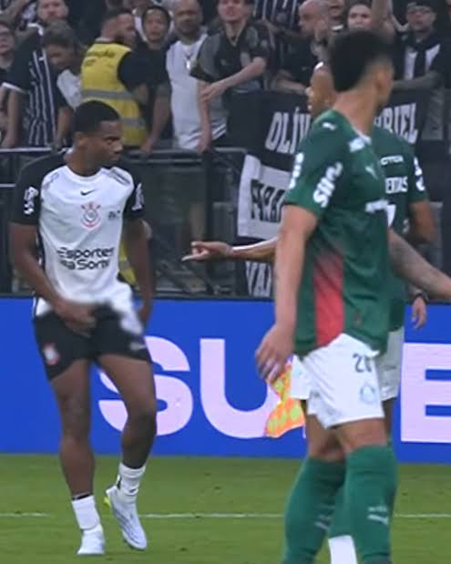 Vcs acham mesmo que isso é motivo pra expulsar?
O futebol acabou
#CORXPAL
