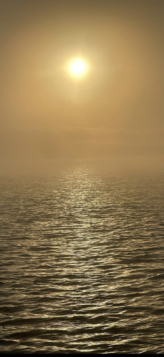 Randy Miller (Realtor) tweet media