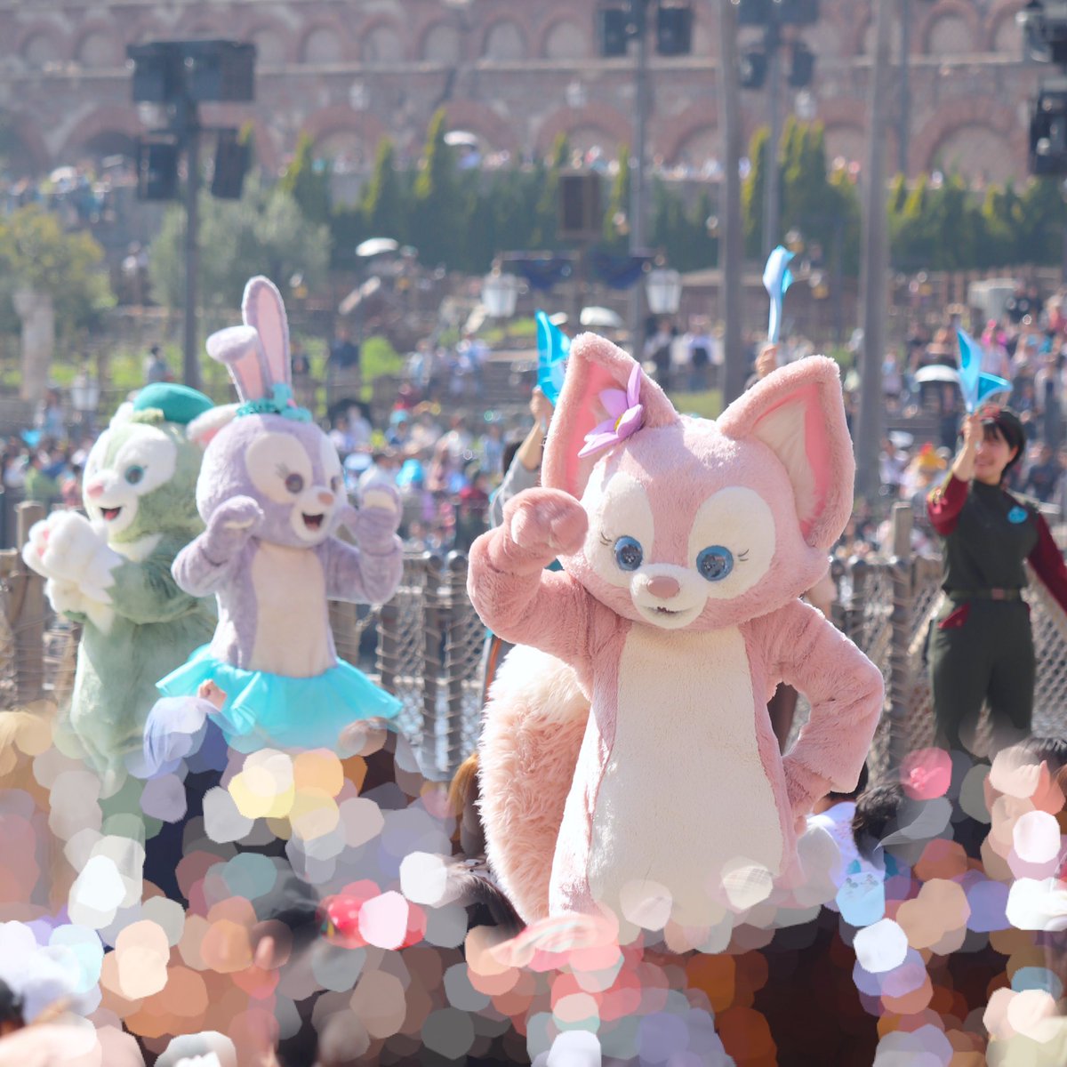 アミクマ tweet media