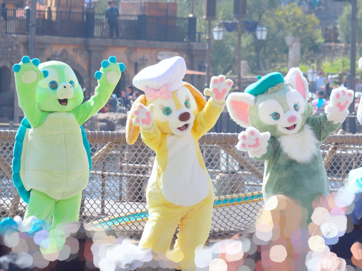 アミクマ tweet media