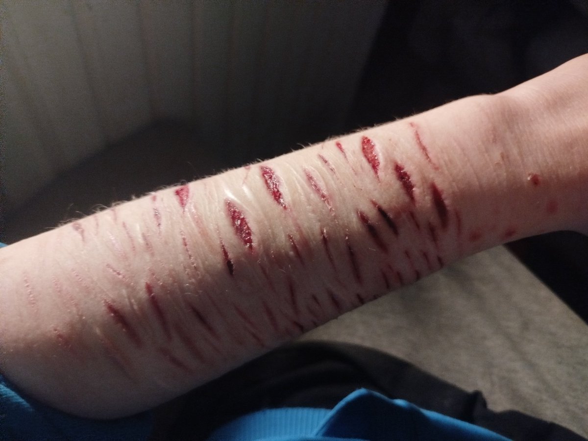 Director of shedtwt tweet media