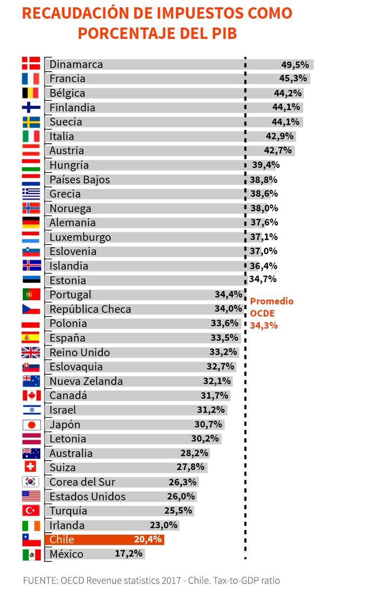 Caro Martínez ⭐ tweet media