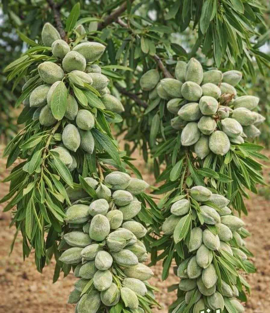 Wolverine tweet media