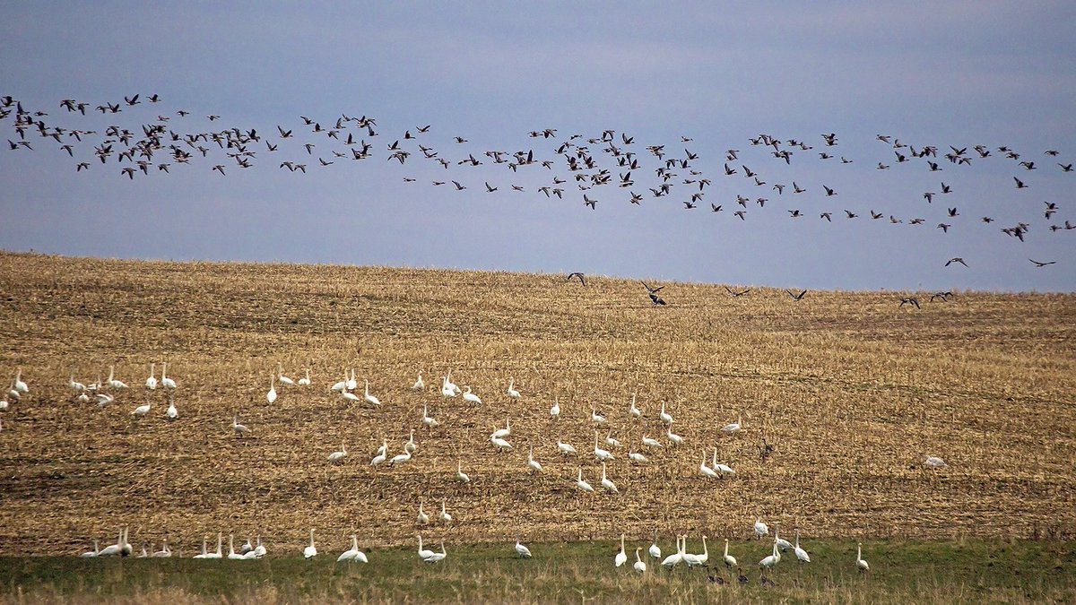 Aleksej Sokolov 🇱🇹 tweet media