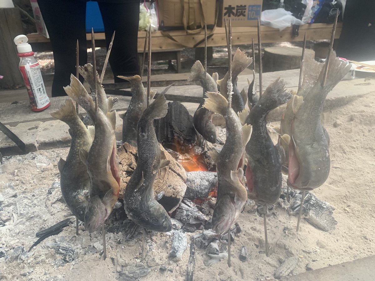 まっちゃん先生@ファイナンシャルプランナー|元証券マン・兼業投資家 tweet media