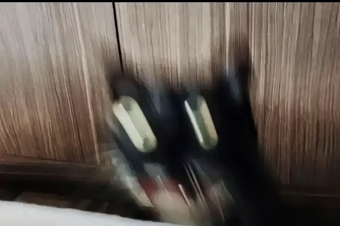 村雨🍤 tweet media