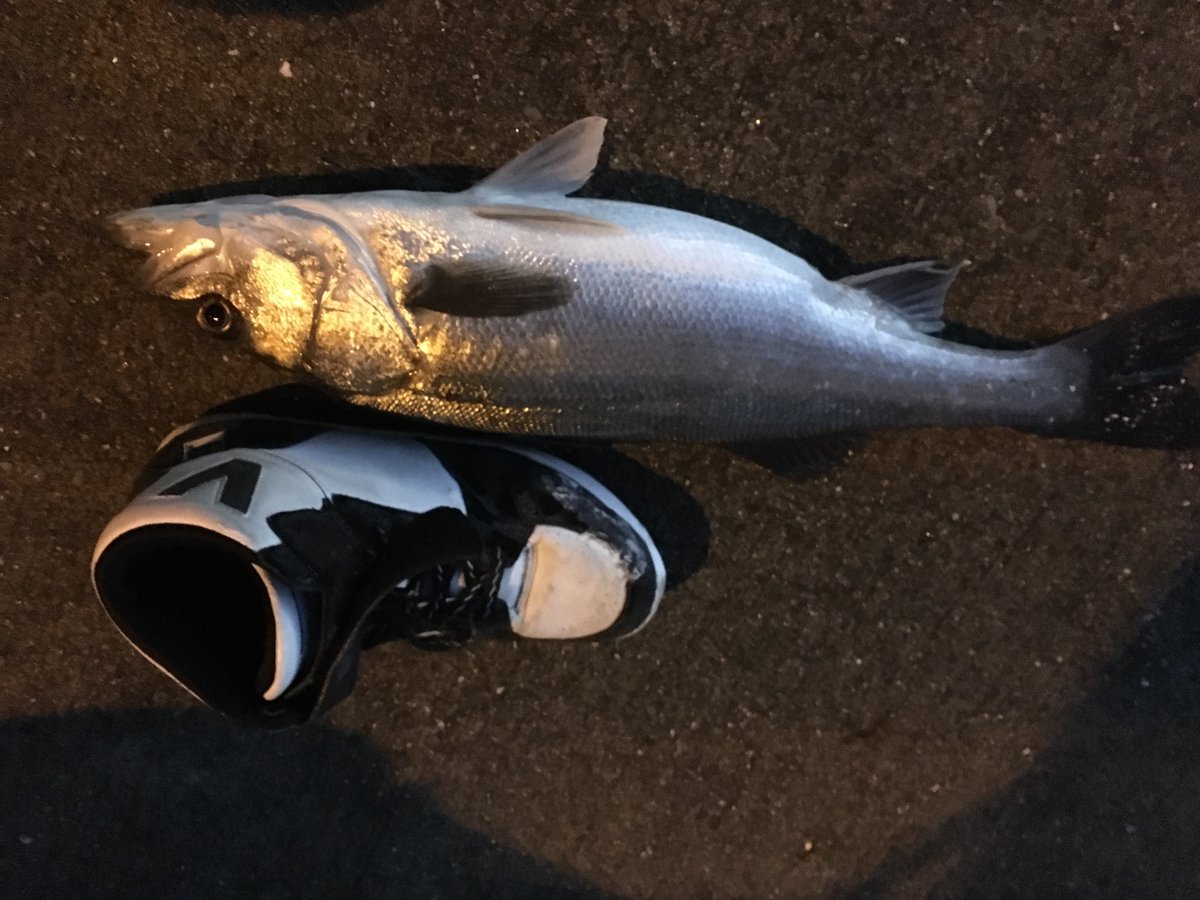 鎮座とーまてぃ tweet media