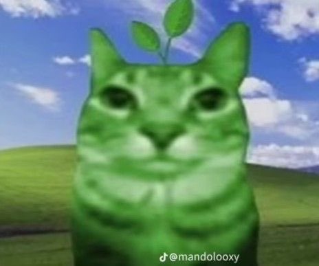 “amadurecer é perceber que o heeseung saiu pq quis e não vai voltar” pois eu to verde ainda

#OUR_BOND_IS_7
#HEAL_THE_GAP_BELIFT