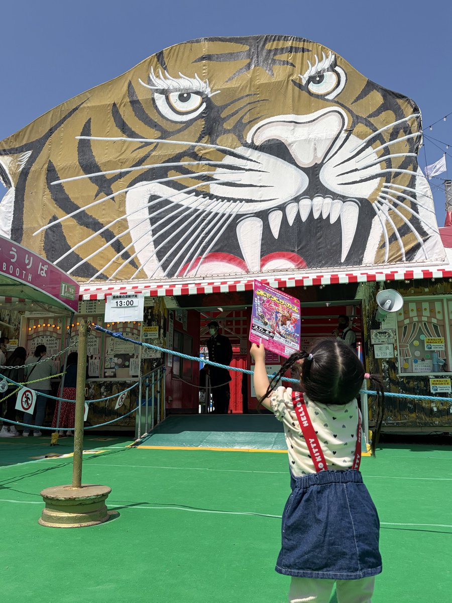 木下大サーカスめっっっちゃ凄かった！！！
来てくれてありがとう🐘