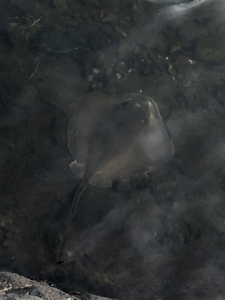 龍太郎@SDG🐲🟦 tweet media