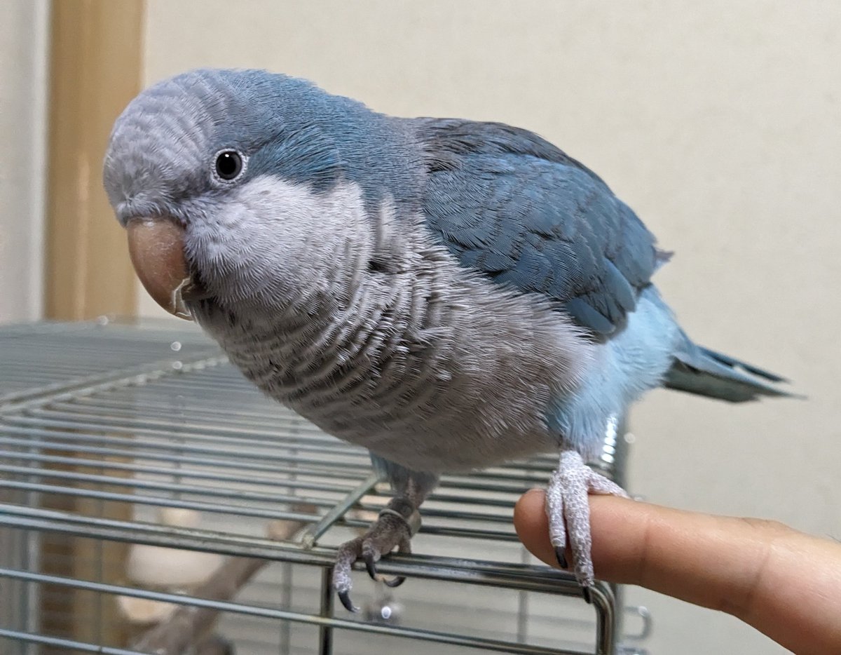 握手が上手🤝
2024/3/28撮影