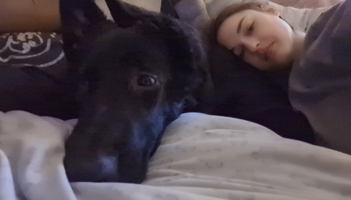 Raven Darkwind (Pippin) tweet media