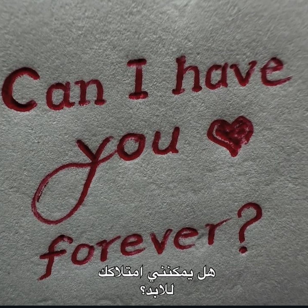 أحُبك❤️ tweet media