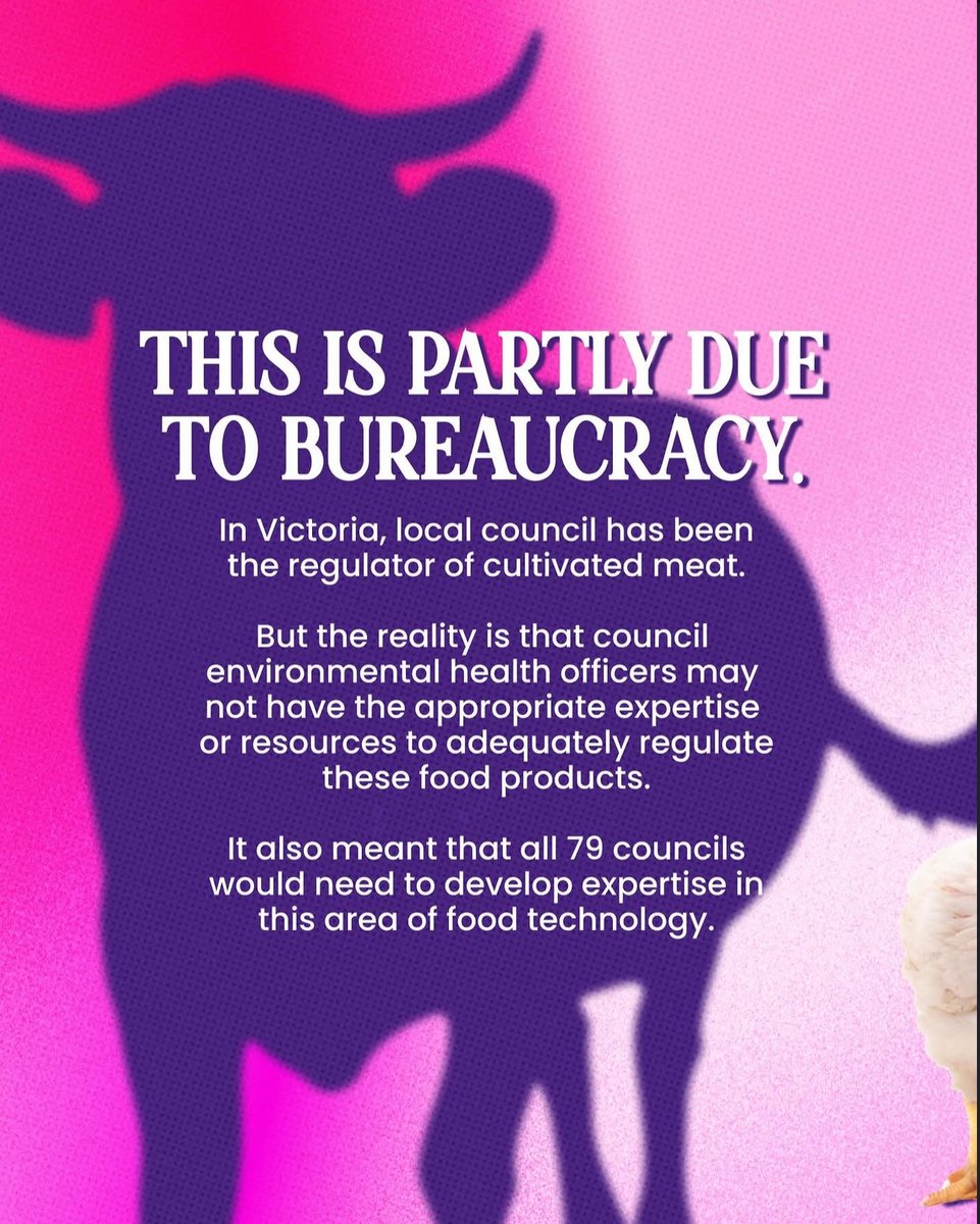 animaljusticeAU's tweet photo. #Animals #VicPol #SpringSt #AusPol #Australia #Victoria #CultivatedMeat #LabGrownMeat #GoVegan #Food #Cooking #Recipes #AnimalAg #Livestock #ClimateAction #Science https://t.co/6XkcEMhwBz