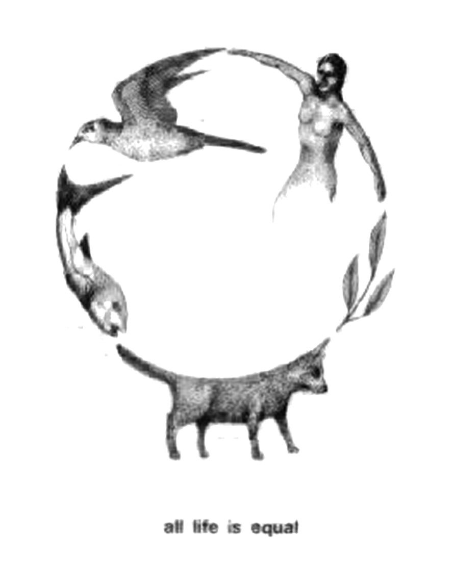 ⚭ (@lekimgym) on Twitter photo 