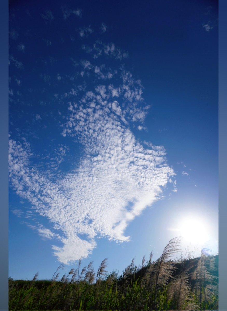 hanamaru tweet media