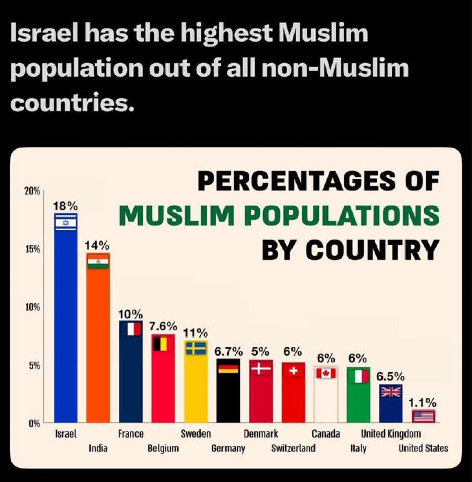 Suzy_says 🇮🇱 סוזי_אמרת tweet media
