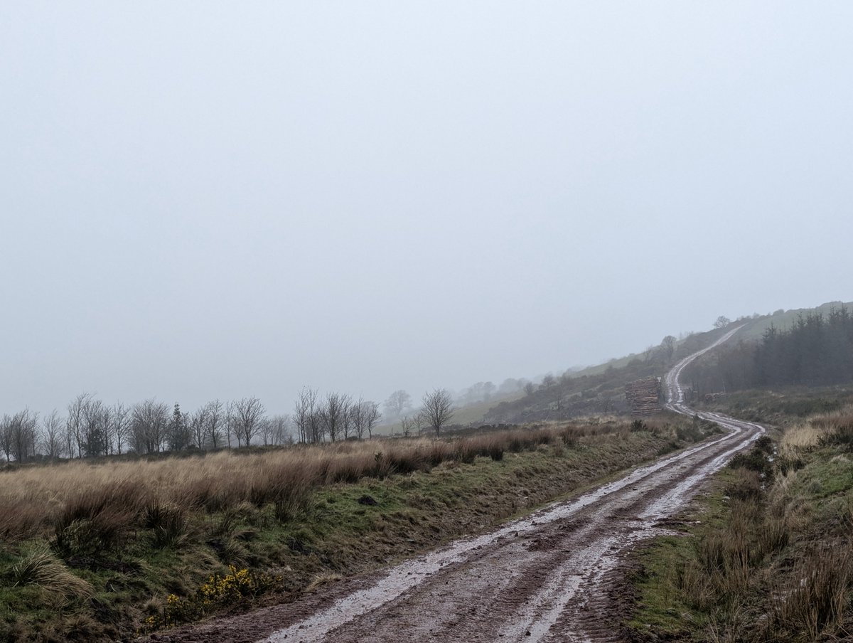 Yellowsky 🔆 tweet media