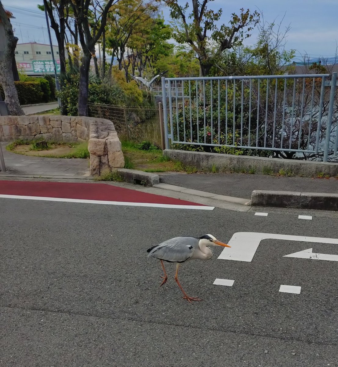 mじぇいく🇯🇵 tweet media