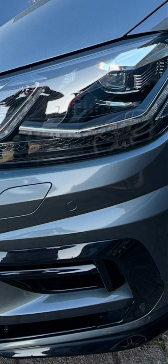 Midgedog tweet media