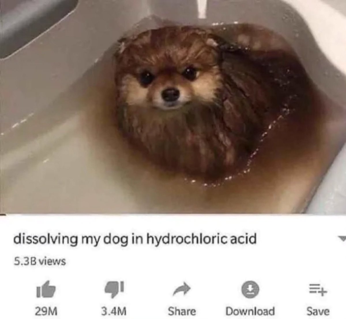 brainrot dimension tweet media