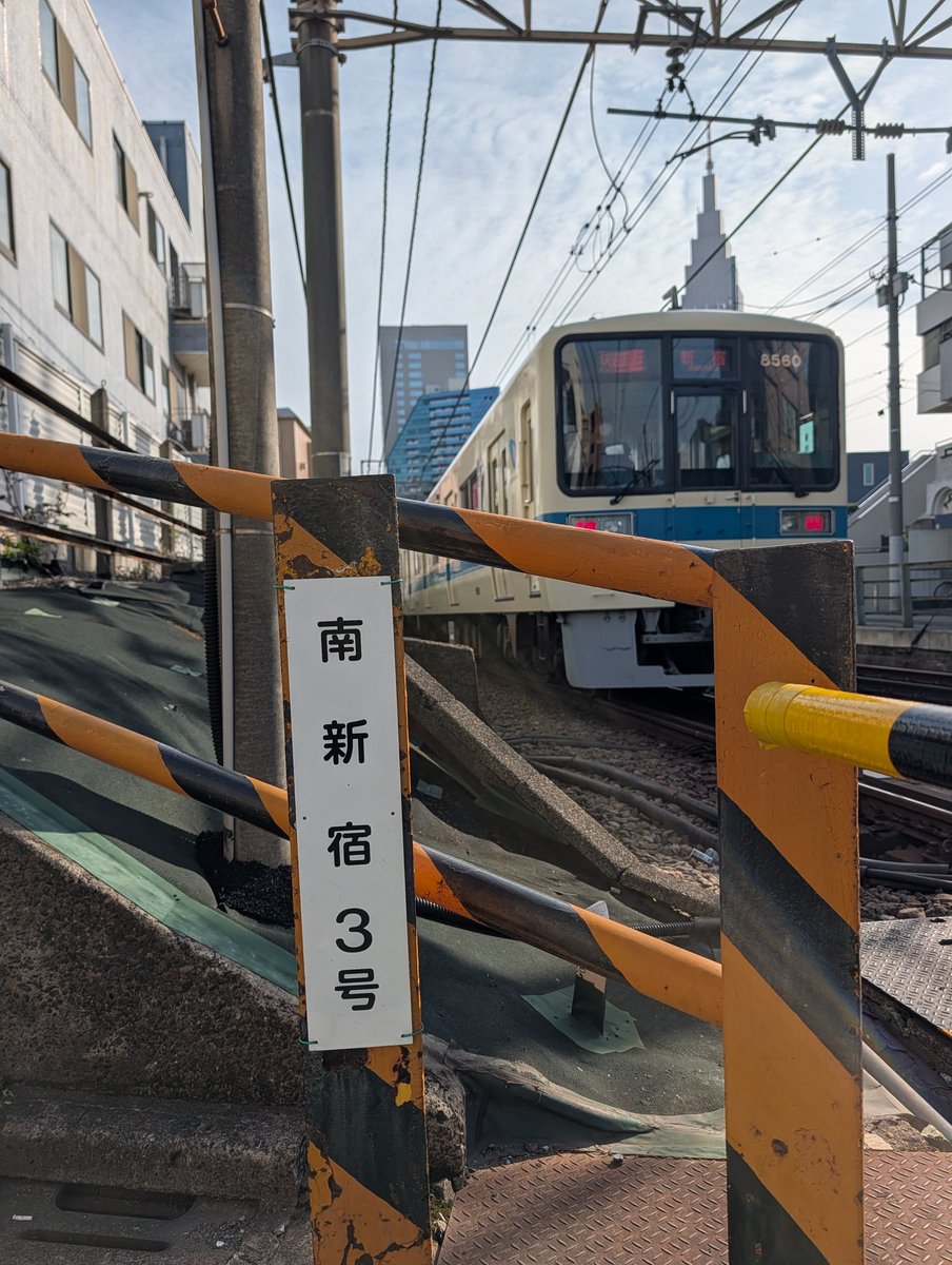 今日も南新宿を散策😆