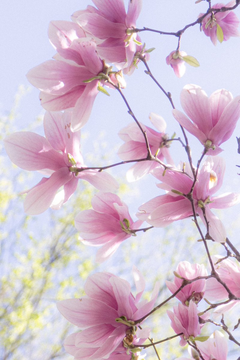 𝗦𝟮 tweet media