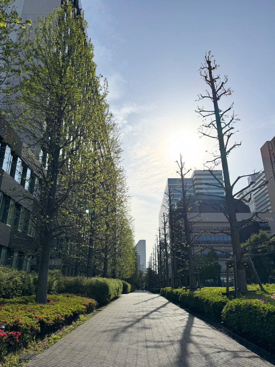 MocoPin_PaPa's tweet image. おはようございます(^O^)／
東京のイマソラは、晴れ！ そして日中も、晴れ時々曇りの予報です。
さぁ、新しい週の始まり月曜日、本日も頑張りましょー♫
*
#sky #cloud #空 #雲 #イマソラ