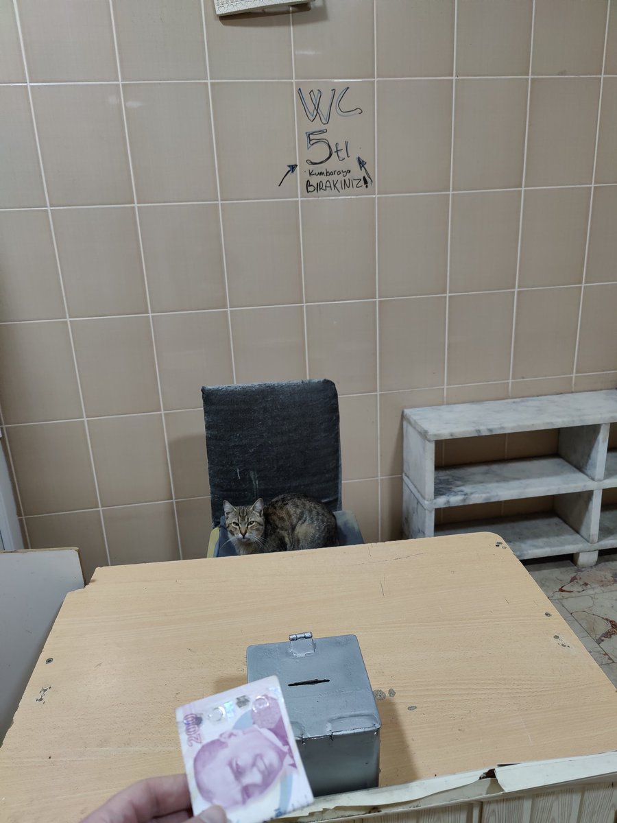 thekaybeden's tweet photo. Abi 200 liram var ama... https://t.co/aUoFCSNqj6