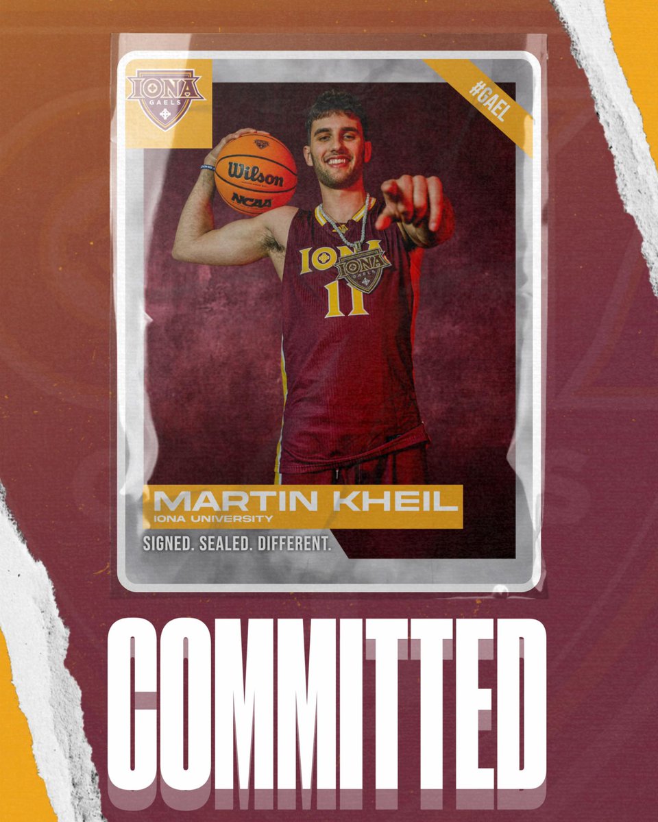 Martin Kheil tweet media