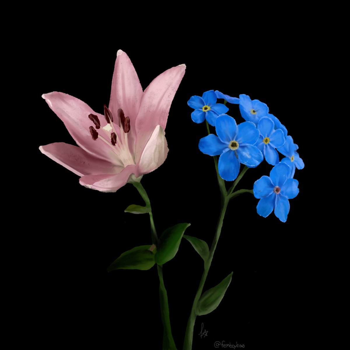 fayli 🧁 tweet media