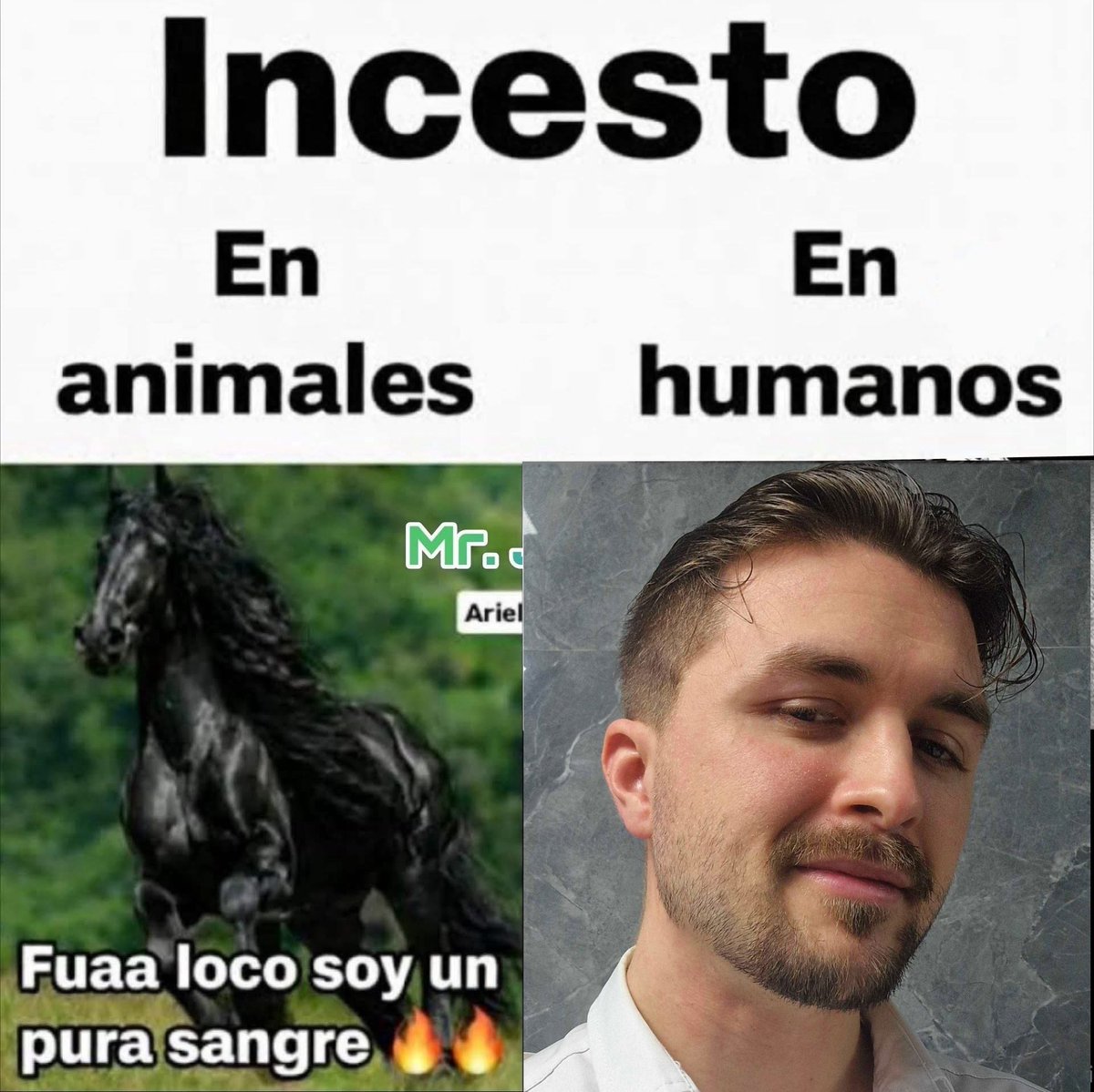 ¿murio dalas? tweet media