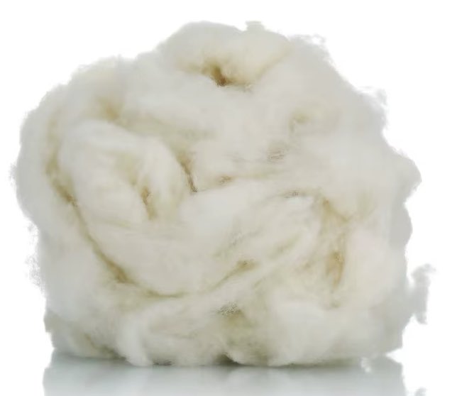 Fatih Çolak tweet media