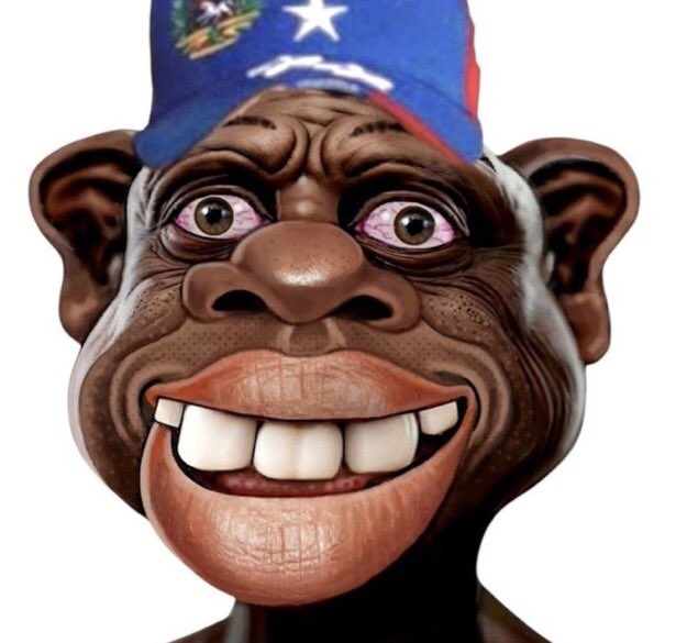 Cat Scaletta tweet media