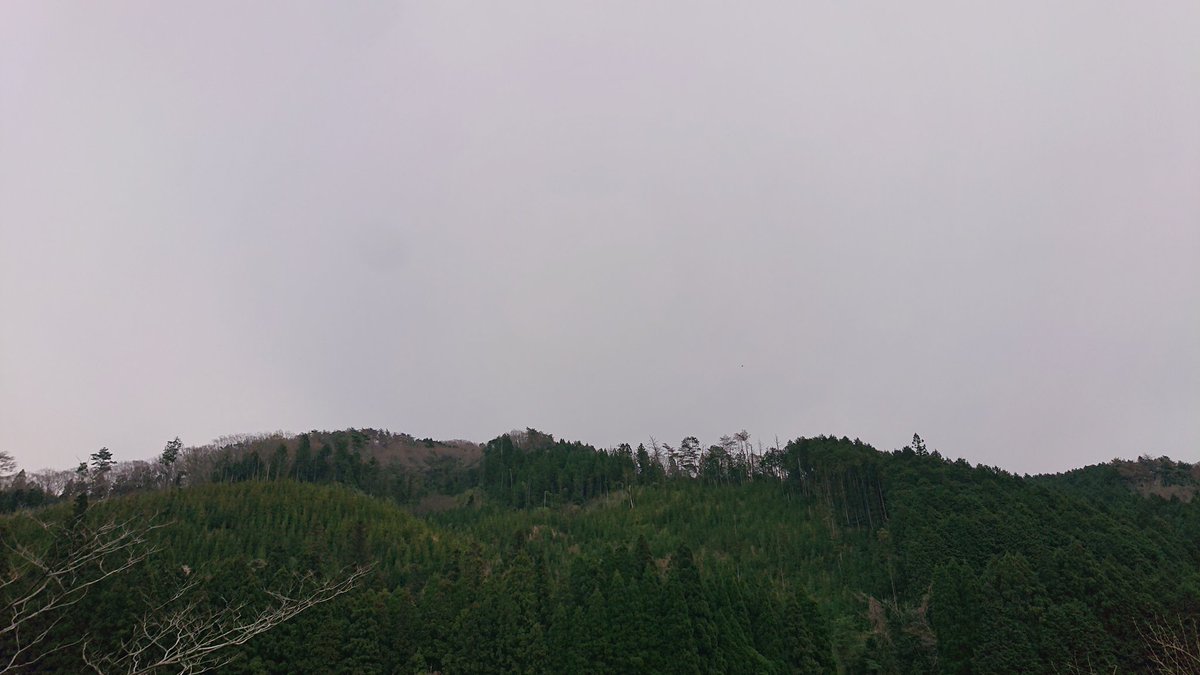 まーもっち tweet media