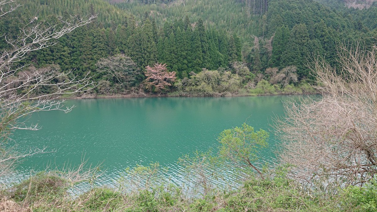 まーもっち tweet media