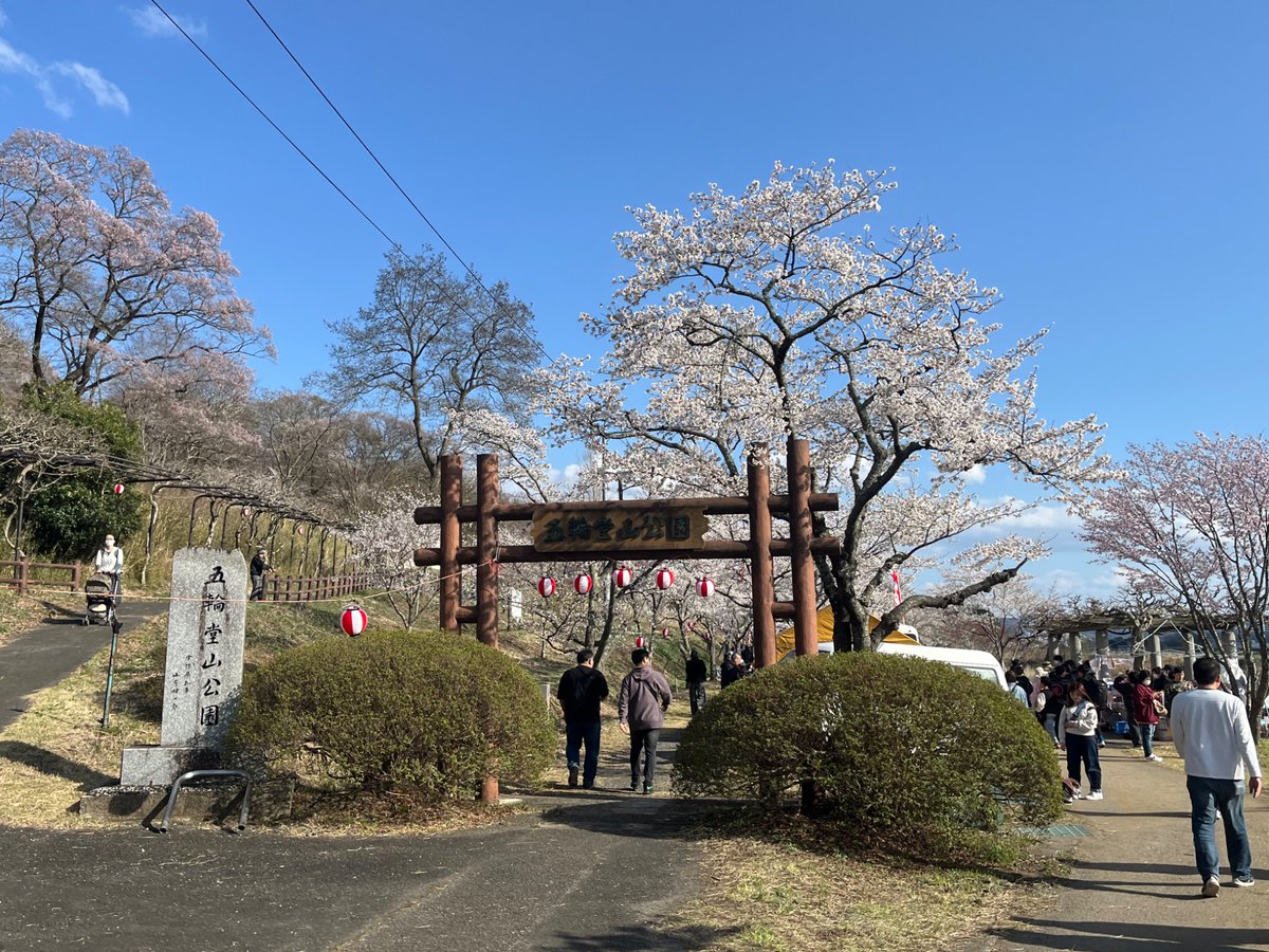 はしかわ＠仙台ヒトベース_広報 tweet media