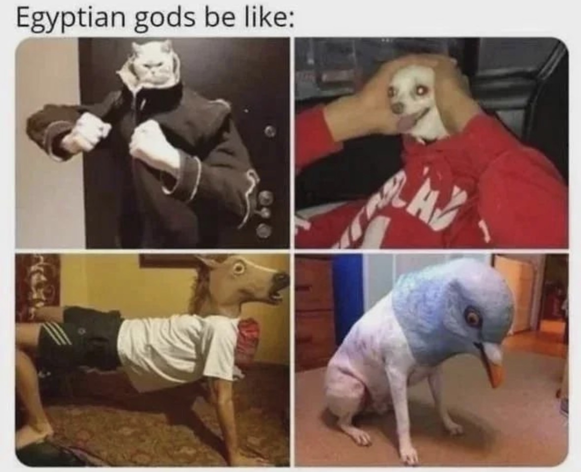 Respectful Memes tweet media