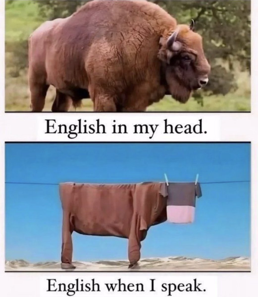 Respectful Memes tweet media