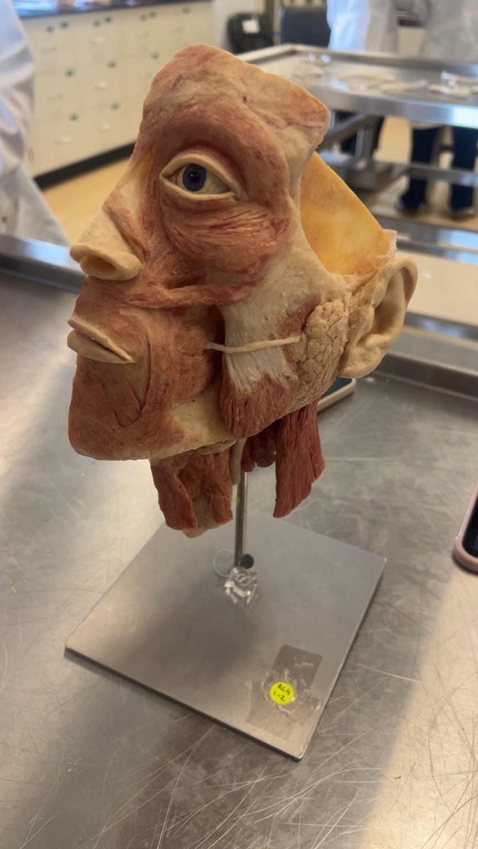 كيَان 🇸🇦. tweet media