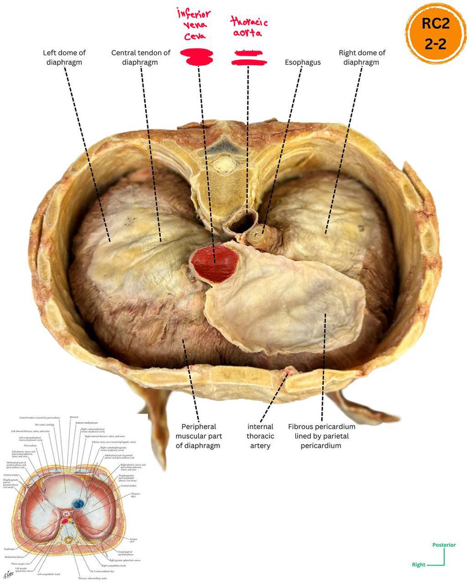 كيَان 🇸🇦. tweet media
