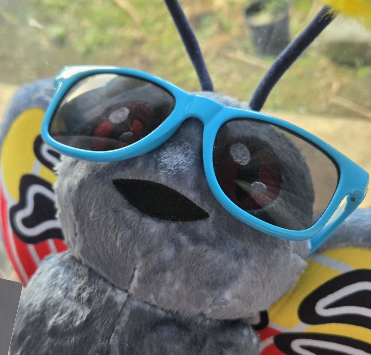 𝔎𝔬𝔪𝔞𝔯𝔦-コマリ- tweet media