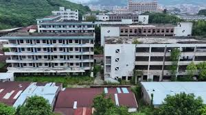 谢万军 tweet media